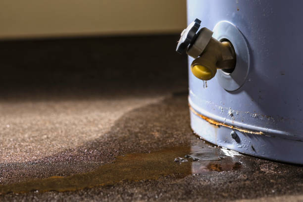 Water damage restoration insurance claims in MT