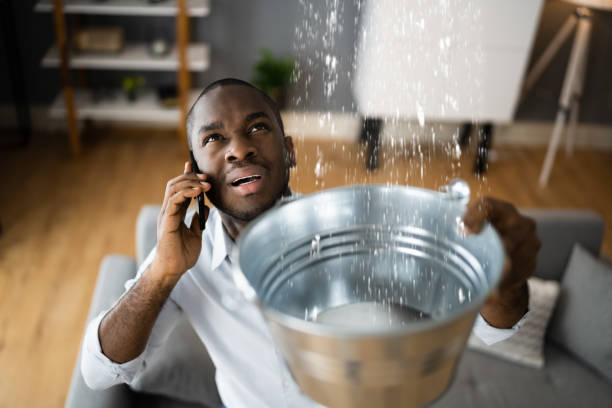 Best Water damage restoration near me  in Sun Prairie, MT