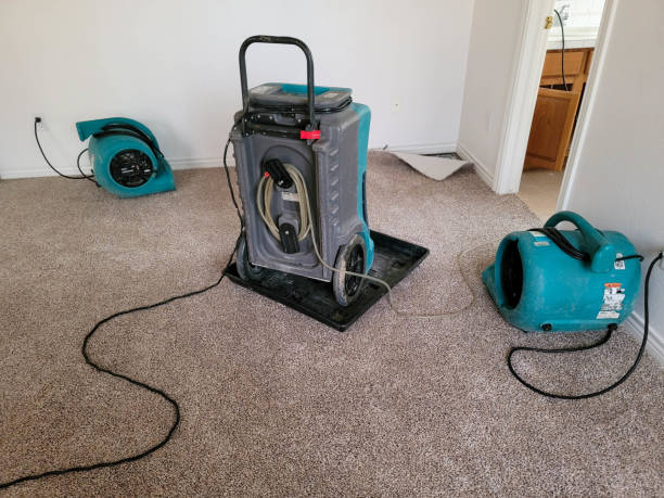 Best Flooded house restoration  in Sun Prairie, MT
