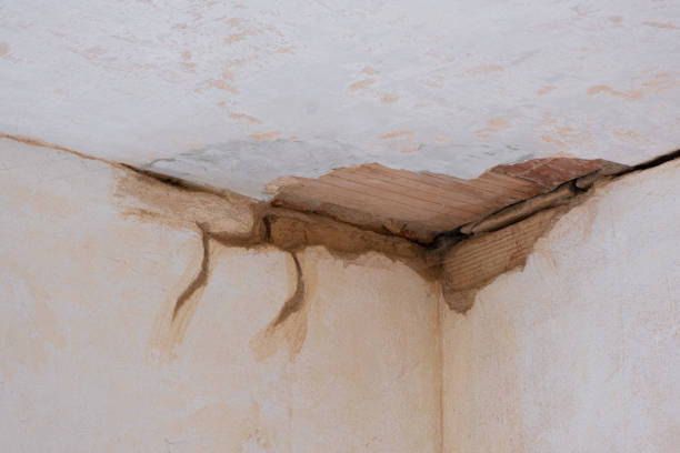 Best Basement water damage restoration  in Sun Prairie, MT