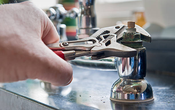 Best Professional water damage repair  in Sun Prairie, MT