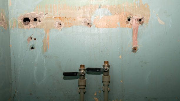 Best Commercial water damage restoration  in Sun Prairie, MT